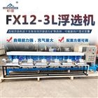 小型连续浮选机